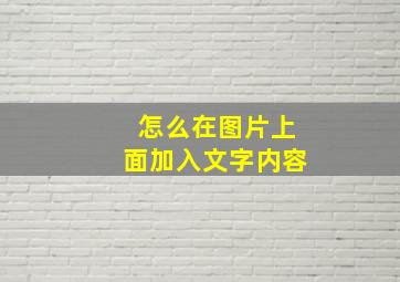 怎么在图片上面加入文字内容