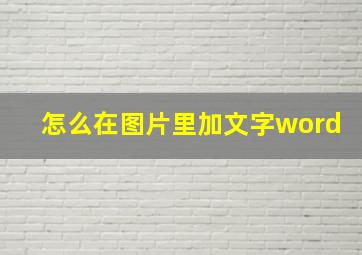 怎么在图片里加文字word