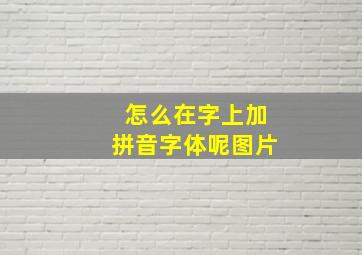 怎么在字上加拼音字体呢图片