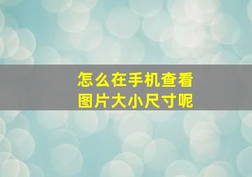 怎么在手机查看图片大小尺寸呢