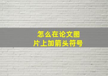 怎么在论文图片上加箭头符号