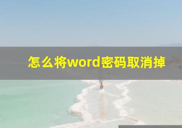 怎么将word密码取消掉