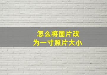 怎么将图片改为一寸照片大小