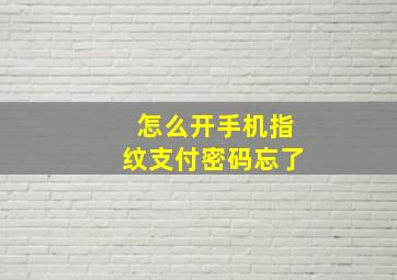 怎么开手机指纹支付密码忘了