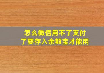 怎么微信用不了支付了要存入余额宝才能用