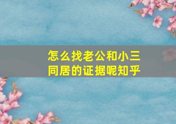 怎么找老公和小三同居的证据呢知乎