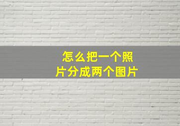 怎么把一个照片分成两个图片