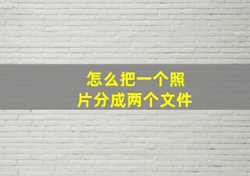 怎么把一个照片分成两个文件