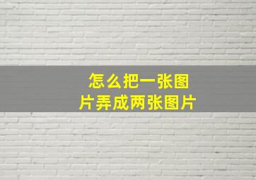 怎么把一张图片弄成两张图片