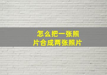 怎么把一张照片合成两张照片