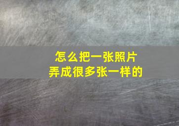 怎么把一张照片弄成很多张一样的