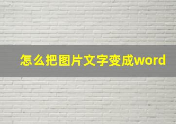 怎么把图片文字变成word