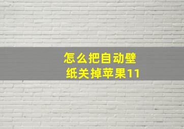 怎么把自动壁纸关掉苹果11