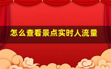 怎么查看景点实时人流量