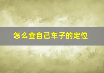 怎么查自己车子的定位