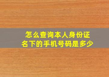 怎么查询本人身份证名下的手机号码是多少