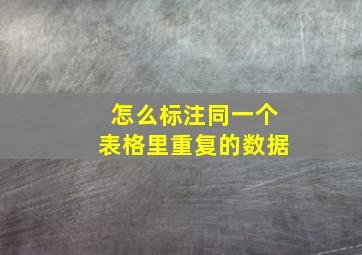 怎么标注同一个表格里重复的数据