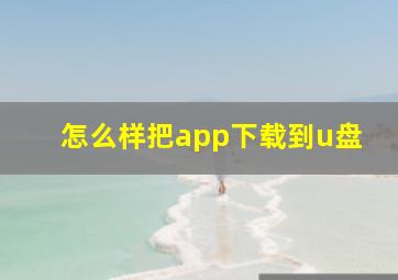 怎么样把app下载到u盘