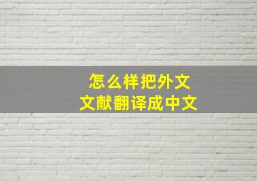 怎么样把外文文献翻译成中文