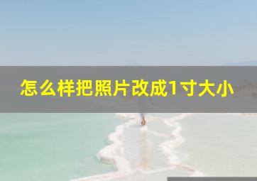 怎么样把照片改成1寸大小