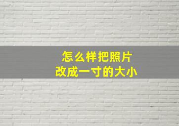 怎么样把照片改成一寸的大小