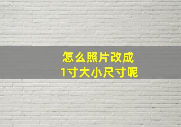 怎么照片改成1寸大小尺寸呢