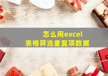 怎么用excel表格筛选重复项数据