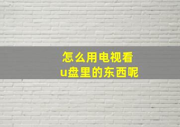 怎么用电视看u盘里的东西呢