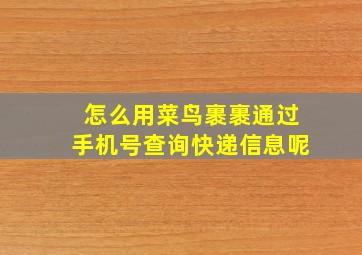 怎么用菜鸟裹裹通过手机号查询快递信息呢