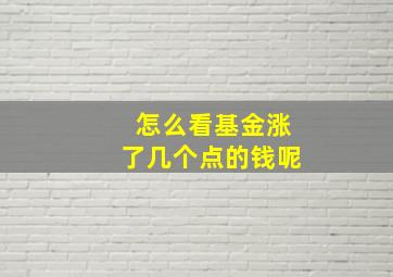 怎么看基金涨了几个点的钱呢