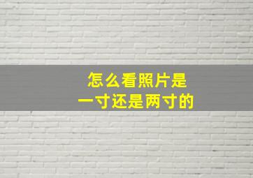 怎么看照片是一寸还是两寸的