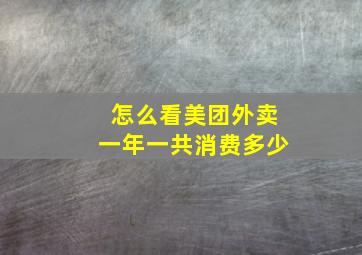 怎么看美团外卖一年一共消费多少