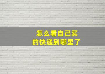 怎么看自己买的快递到哪里了