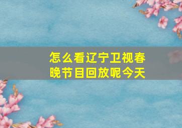 怎么看辽宁卫视春晚节目回放呢今天