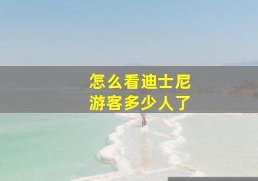 怎么看迪士尼游客多少人了