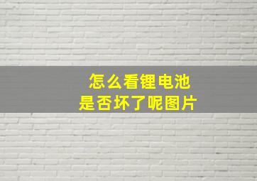 怎么看锂电池是否坏了呢图片