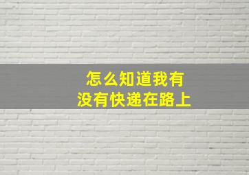 怎么知道我有没有快递在路上