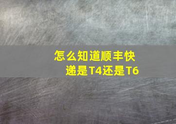 怎么知道顺丰快递是T4还是T6