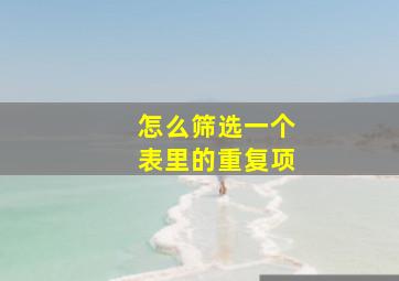 怎么筛选一个表里的重复项