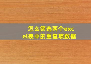 怎么筛选两个excel表中的重复项数据