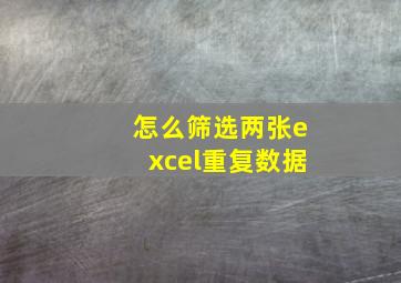 怎么筛选两张excel重复数据