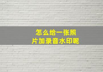 怎么给一张照片加录音水印呢