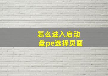 怎么进入启动盘pe选择页面