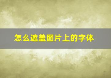 怎么遮盖图片上的字体