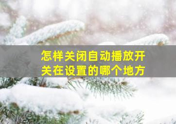 怎样关闭自动播放开关在设置的哪个地方