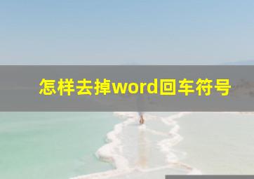 怎样去掉word回车符号