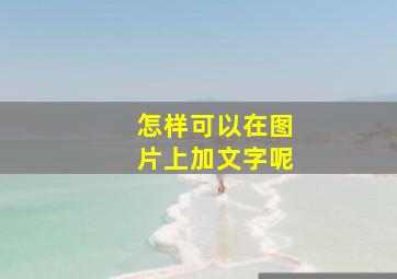 怎样可以在图片上加文字呢