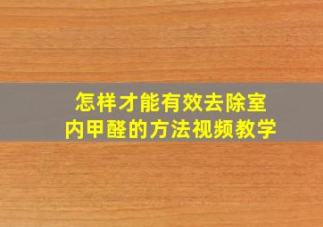 怎样才能有效去除室内甲醛的方法视频教学