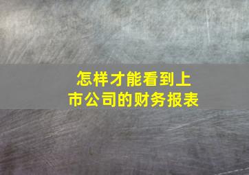 怎样才能看到上市公司的财务报表