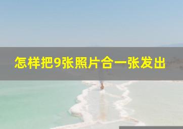 怎样把9张照片合一张发出